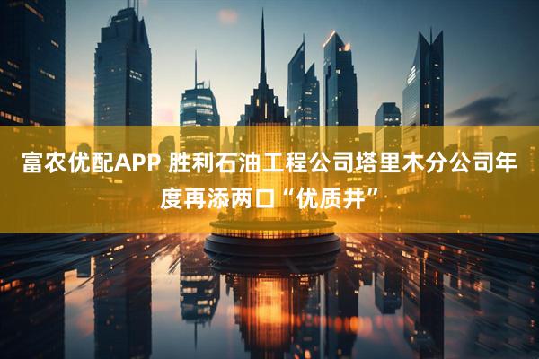 富农优配APP 胜利石油工程公司塔里木分公司年度再添两口“优质井”