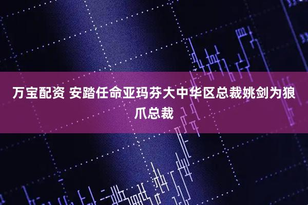 万宝配资 安踏任命亚玛芬大中华区总裁姚剑为狼爪总裁